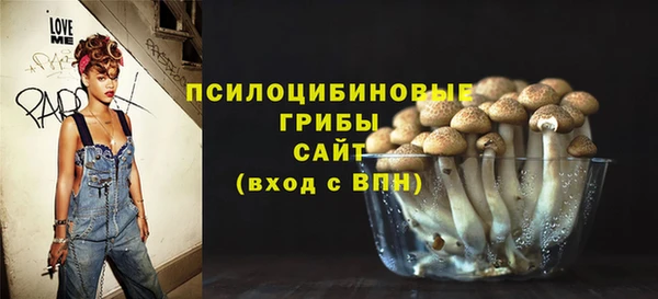 СК Алзамай