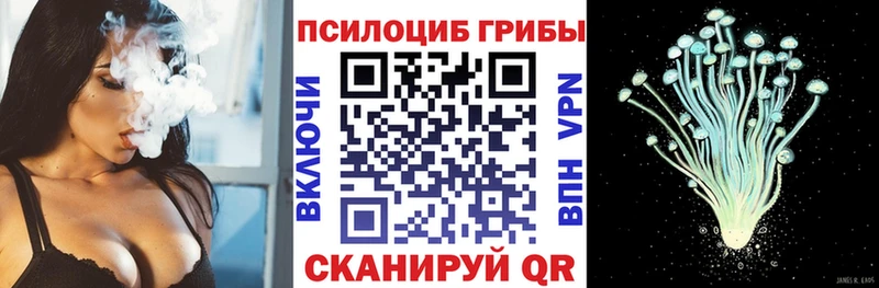 где можно купить наркотик Бабушкин Галлюциногенные грибы мицелий